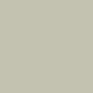 Colonnade Gray (Accent) SW7641